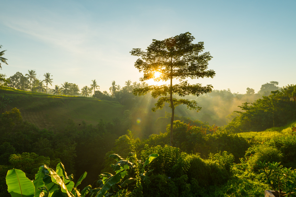 ISO 14001:2026: what has changed and how the transition works 