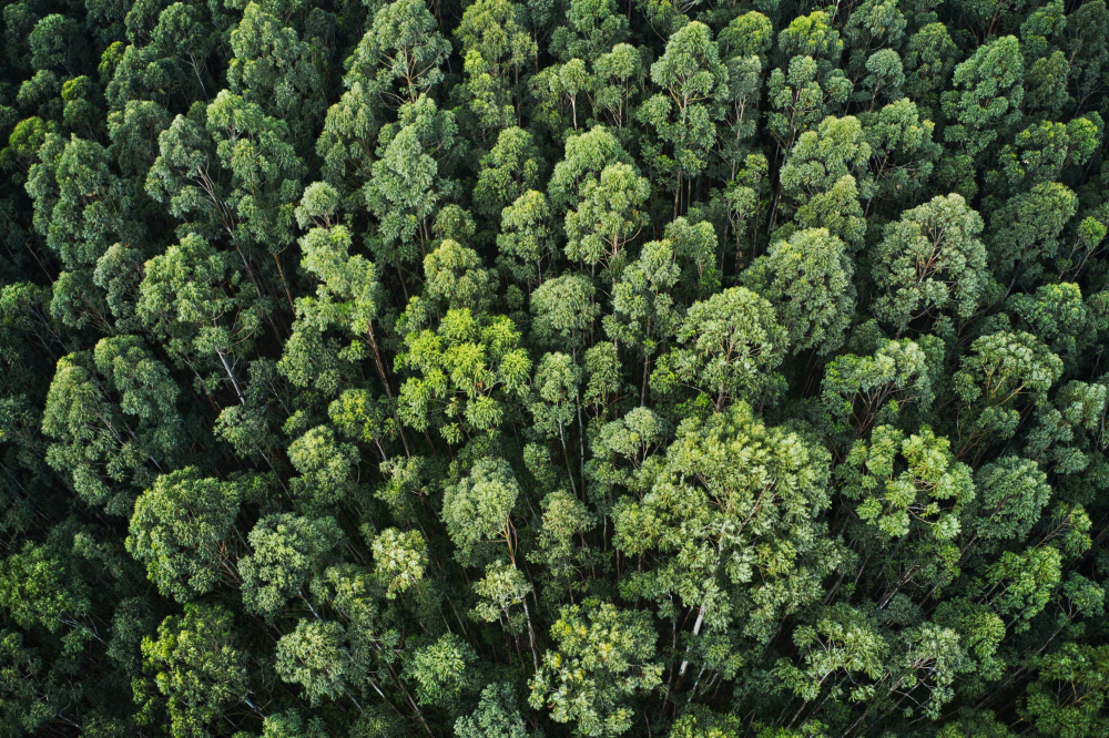 ISO 14001 - Environmental management
